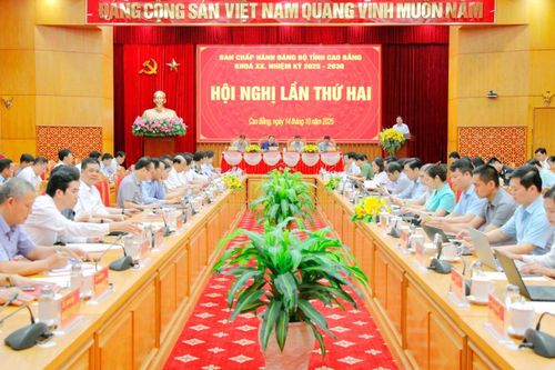 Hội nghị lần thứ hai Ban Chấp hành Đảng bộ tỉnh khóa XX, nhiệm kỳ 2025 - 2030