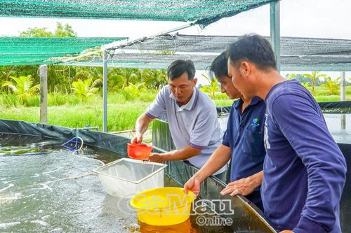 Thi đua tạo đột phá