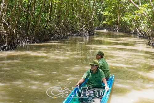 Chung tay vì sự phát triển bền vững