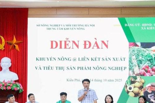 Xã Kiều Phú thúc đẩy liên kết tiêu thụ sản phẩm nông nghiệp an toàn