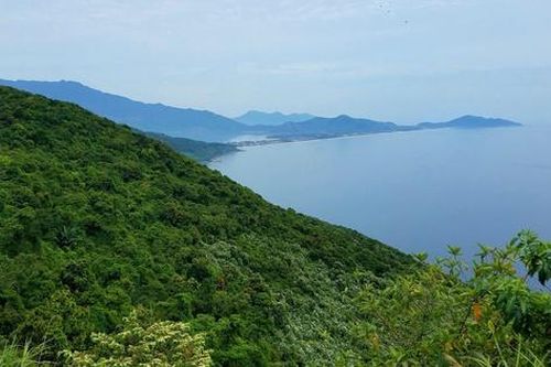 Huế lập khu bảo vệ cảnh quan bảo tồn động vật quý hiếm, đặc hữu