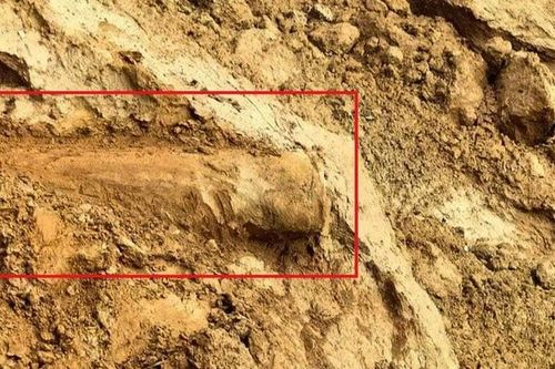Phát hiện quả bom gần 2 tạ bên bờ sông sạt lở