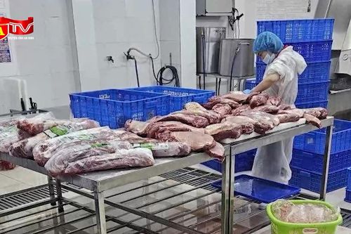 Cận cảnh chiêu 'phù phép' thịt trâu giá rẻ thành bò Wagyu siêu đắt đỏ