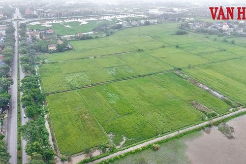 Ninh Bình: Cưỡng chế kiểm đếm 61 hộ dân để xây dựng Khu đô thị Ninh Thắng I