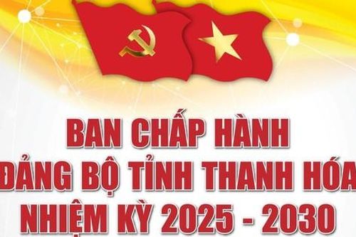 Danh sách Ban Chấp hành, Ban Thường vụ, Thường trực Tỉnh ủy Thanh Hóa khóa XX