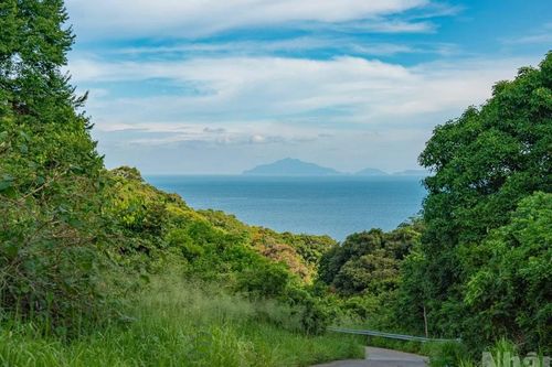 Cung đường đi bộ khám phá thiên nhiên 'đẹp như tranh' tại bán đảo Sơn Trà