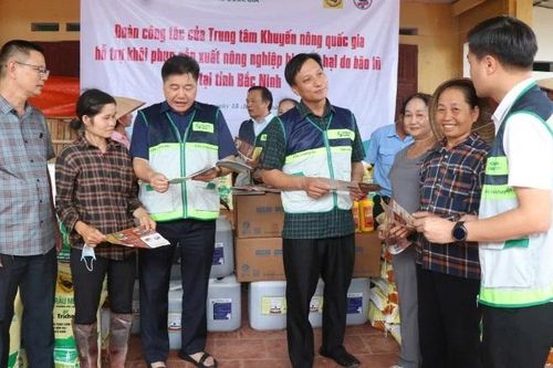 Trung tâm Khuyến nông quốc gia hỗ trợ nông dân Bắc Ninh khôi phục sản xuất