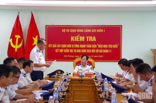 Bộ tư lệnh Vùng Cảnh sát biển 1 kiểm tra xây dựng đơn vị vững mạnh toàn diện 'mẫu mực, tiêu biểu' tại Hải đoàn 11