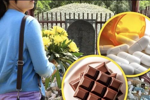 Trào lưu 'kỳ lạ' của giới trẻ Trung Quốc: Viếng mộ các nhân vật lịch sử với thuốc giảm đau và sô cô la