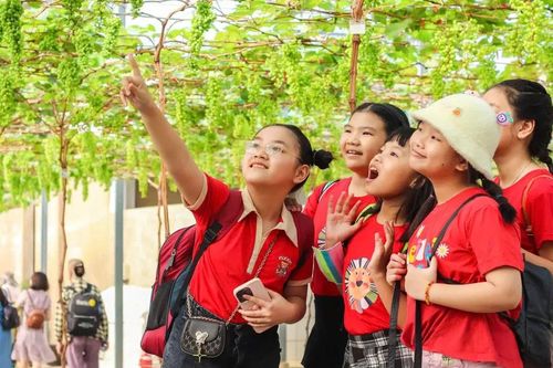 Sản xuất nông nghiệp kết hợp du lịch cộng đồng: Đa dạng trải nghiệm, tiêu dùng xanh