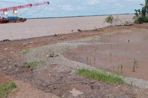 Vĩnh Long: Sạt lở bờ biển xã Long Vĩnh