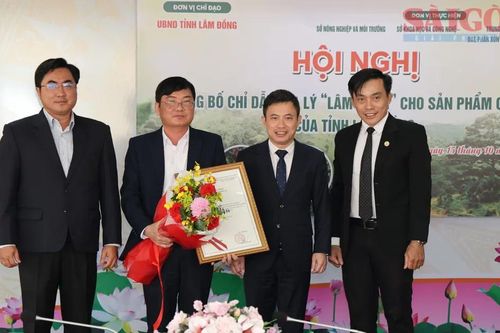 Bảo hộ chỉ dẫn địa lý cà phê 'Lâm Đồng'