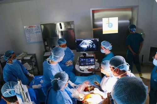 Thêm một ca thông tim can thiệp bào thai được thực hiện thành công