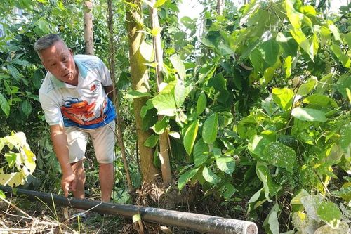 Phú Thọ: Xử lý, buộc di dời xưởng sản xuất giấy không phép