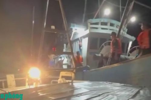 BĐBP tỉnh Lâm Đồng liên tiếp bắt giữ tàu cá khai thác thủy sản trái quy định