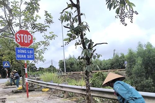 Bổ sung biển báo, kiểm soát tốc độ trên đường Hồ Chí Minh nhánh Đông sau vụ tai nạn