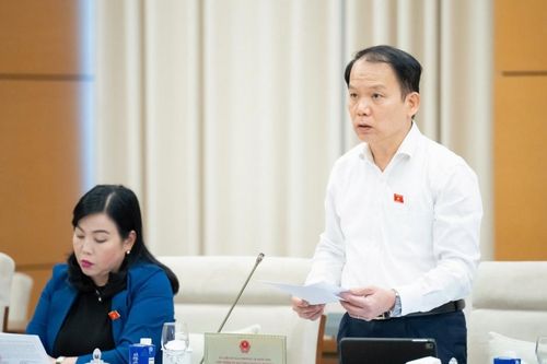 Cải cách mạnh mẽ cơ chế kiểm soát tài sản, thu nhập để ngăn ngừa tham nhũng