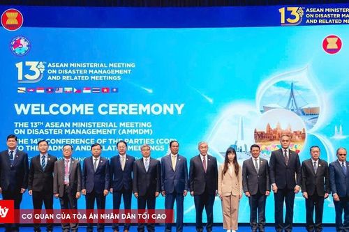 Việt Nam cam kết sát cánh ASEAN ứng phó thiên tai