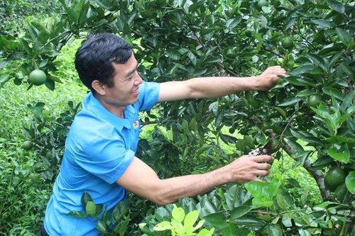 Kết tinh sức dân trong Chương trình Mục tiêu quốc gia 1719: Nông thôn vùng cao Sơn La khởi sắc từng ngày