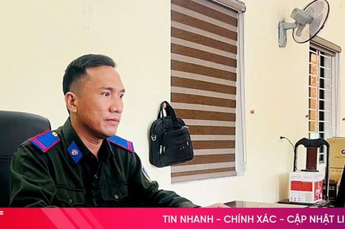 'Cây sáng kiến' ở Vườn quốc gia Vũ Quang