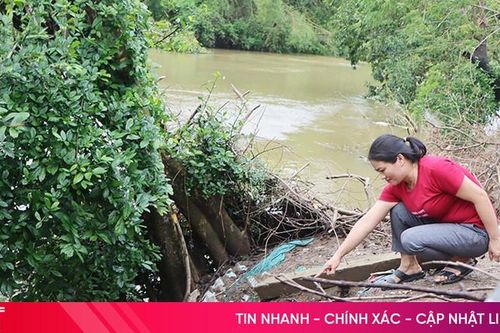 Sạt lở bờ sông Ngàn Mọ, uy hiếp nhà dân ở xã Cẩm Duệ
