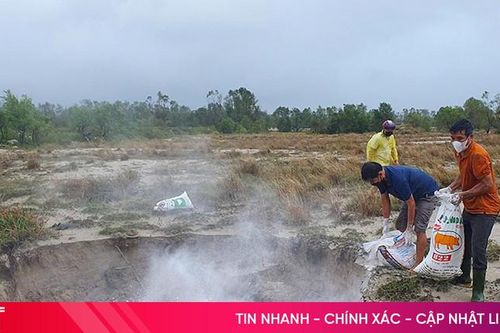 Hà Tĩnh tăng cường phòng chống dịch tả lợn châu Phi lây lan sau mưa bão