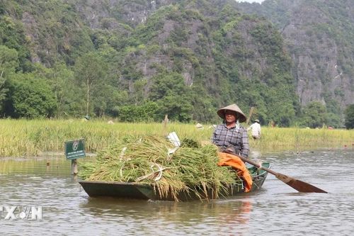 Ninh Bình: Nhiều danh thắng liên tiếp được vinh danh giải thưởng quốc tế