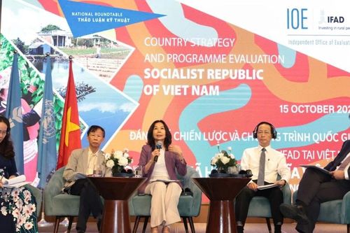 Việt Nam và IFAD cùng định hình chiến lược phát triển nông thôn bền vững