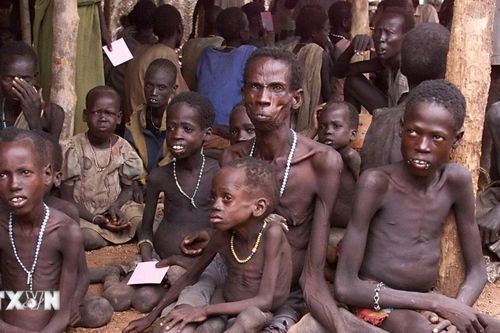 WFP cảnh báo gần 14 triệu người có nguy cơ rơi vào nạn đói do cắt giảm viện trợ
