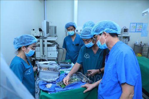 Cần có phương án giữ chân bác sĩ sau đào tạo, tránh 'chảy máu chất xám'