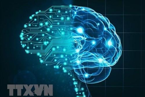 Nghiên cứu hé lộ khác biệt lão hóa giữa hai giới