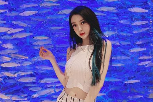 Sao nữ đình đám showbiz bị bắt vì bán thuốc giảm cân giả, lộ thêm đường dây bán dâm gây rúng động