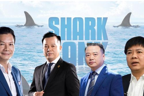 Những dự án đầu tư bết bát, 'chìm xuồng' trong cuộc chơi của các 'cá mập' Việt