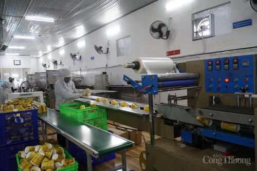 Đà Nẵng: Doanh nghiệp mở rộng sản xuất, lạc quan 'về đích' năm 2025