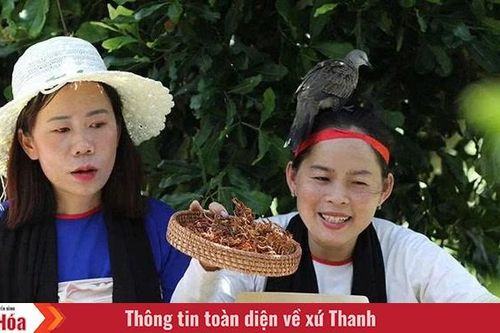 Tạo cơ hội để thanh niên vùng dân tộc thiểu số và miền núi bứt phá