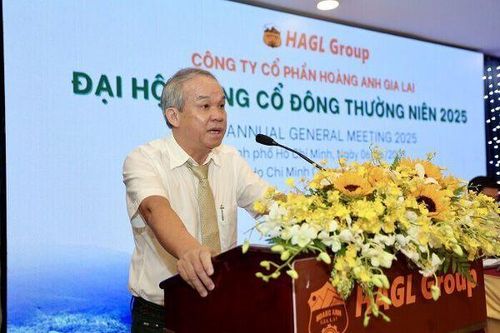 HAGL chuyển 300 tỷ nợ thành vốn góp tại Hưng Thắng Lợi Gia Lai