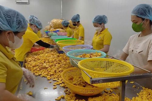 Mỹ Thới tập trung phát triển kinh tế tư nhân