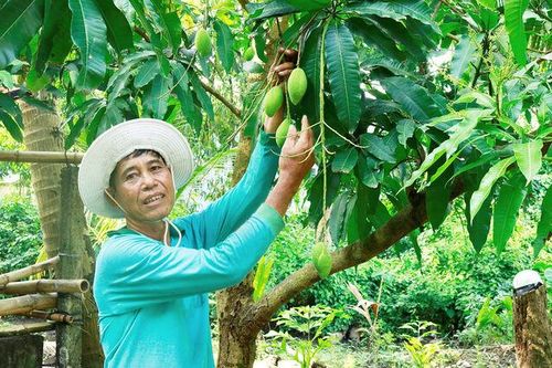 Đảng viên gương mẫu, đồng bào làm theo