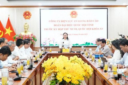 Đoàn Đại biểu Quốc hội tỉnh làm việc với Công ty Điện lực An Giang