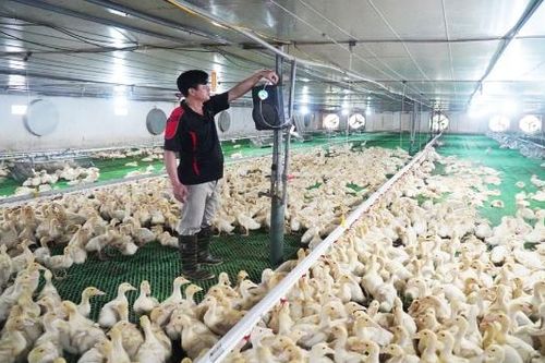 Bắc Ninh có 3 cá nhân được tôn vinh nông dân Việt Nam xuất sắc và nhà khoa học của nhà nông