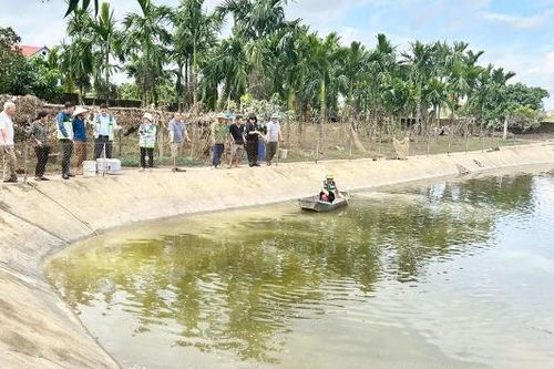 Bắc Ninh: Hỗ trợ nông dân khôi phục sản xuất sau mưa lũ