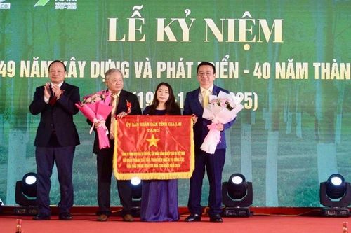 Công ty TNHH một thành viên Cao su Chư Păh kỷ niệm 40 năm thành lập