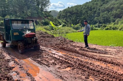 Phai Vài mong đường mới