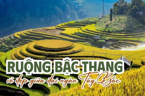 Ruộng bậc thang - vẻ đẹp giữa đại ngàn Tây Bắc