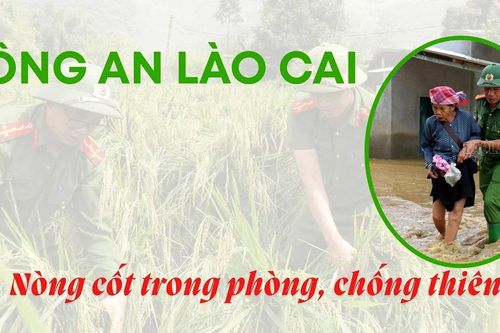Nòng cốt trong phòng, chống thiên tai
