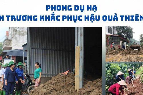 Phong Dụ Hạ khẩn trương khắc phục hậu quả thiên tai