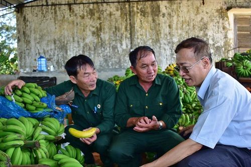 Cựu chiến binh Hiệp Thạnh giúp nhau phát triển kinh tế