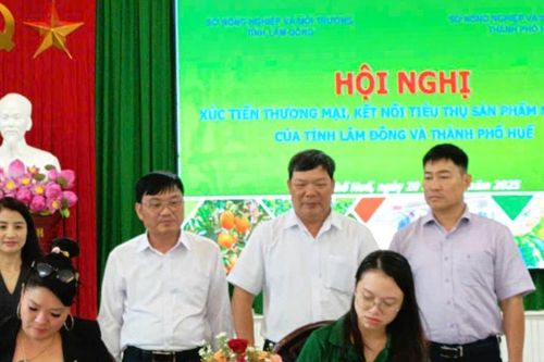 OCOP Lâm Đồng - Huế, lan tỏa giá trị thương hiệu