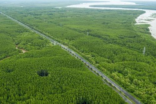 TP.HCM yêu cầu công bố lộ trình chuyển đổi phương tiện giao thông xanh