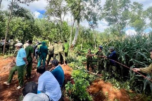 Cứu sống người đàn ông ở Gia Lai rơi xuống giếng hoang sau 1 đêm